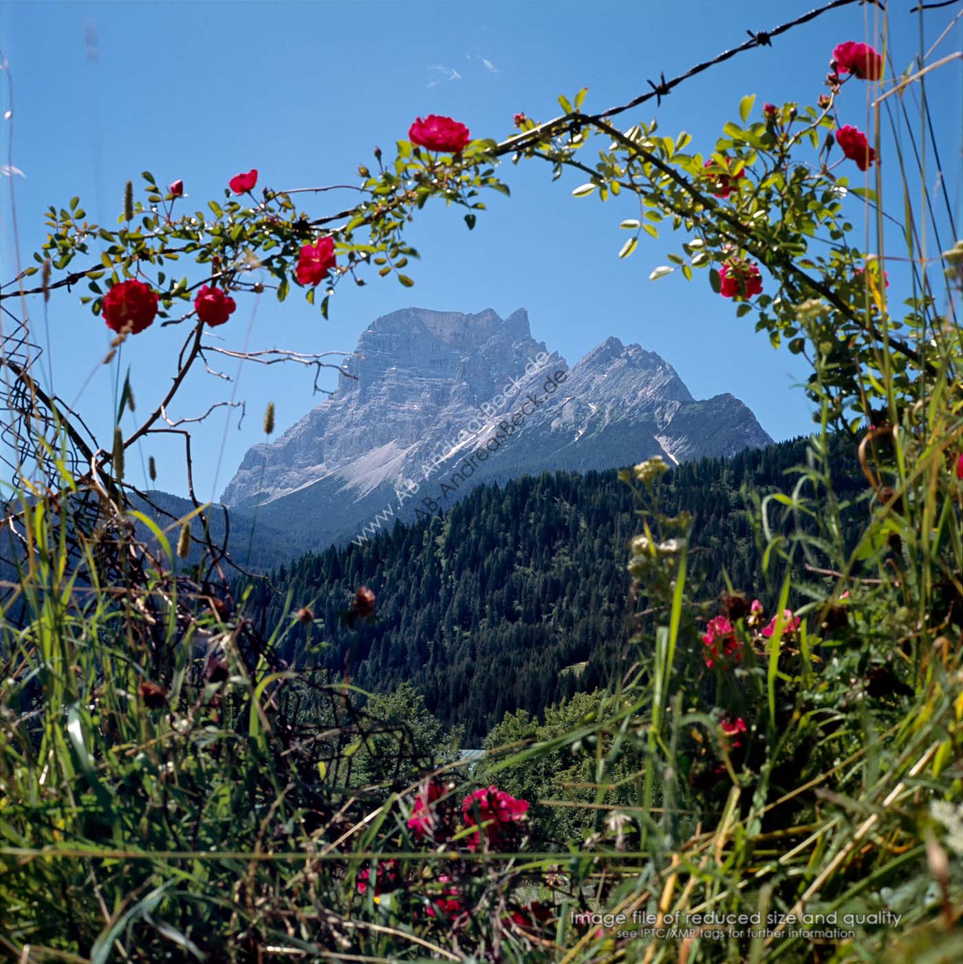 6 - 8   Monte Pelmo / Dolomiten